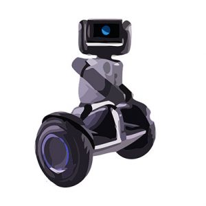 Seqway Robot Loomo